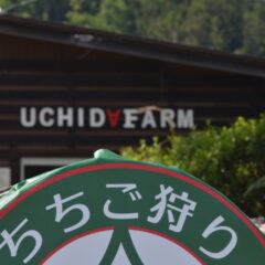 今シーズンのいちご狩りは終了いたしました。