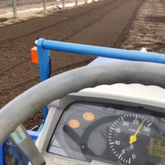 いちご農家のブログ　～小暑～