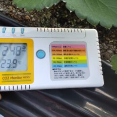 いちご農家のブログ　～霜降～