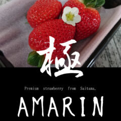 いちご農家のブログ　～冬至～