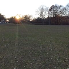 いちご農家のブログ　ふたご座流星群