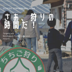 明けましておめでとうございます！