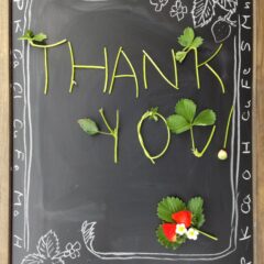 今シーズンのいちご狩りは終了しました。