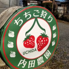 いちご狩り始まりました。