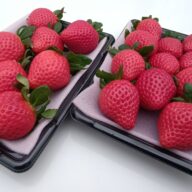 ネット販売開始のお知らせ