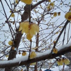 2月8日　6時47分